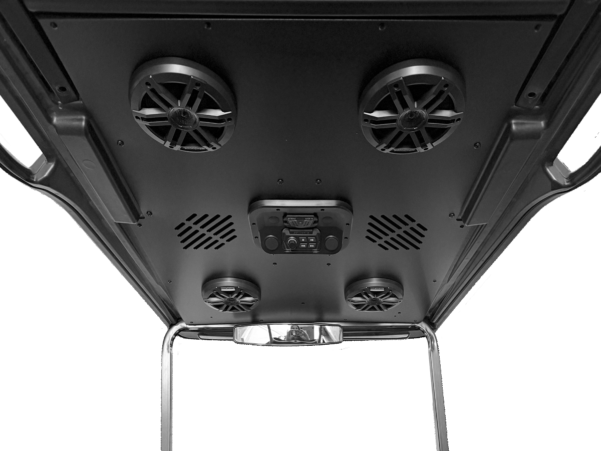 EZGO 2 Seat RXV Suntop Roof - Extended Audio Headliner 2